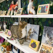 Открытие выставки «Кот – животное древнее и неприкосновенное» фотографии