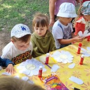 «Полевые цветы» фотографии
