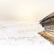 Спектакль «Дом окнами в поле» фотографии