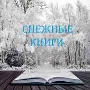 Выставка «Снежные книги» фотографии