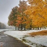 Диалог культур фотографии