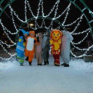 Концерт Скоро Скоро Новый год! фотографии