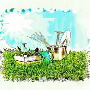 «Сад и огород на страницах книг и журналов» фотографии