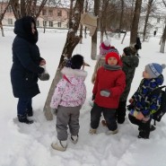 «День зимующих птиц в России» фотографии