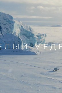 В Рузском краеведческом музее пройдет показ фильма «Я – белый медведь»