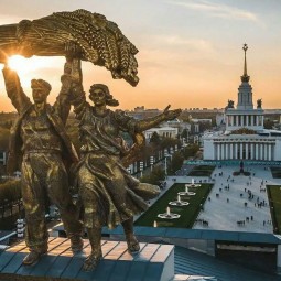 «Вы это видели?»