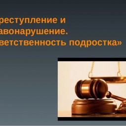 «Преступление и правонарушение»