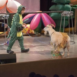 Цирковой спектакль «Поезд к динозаврам»