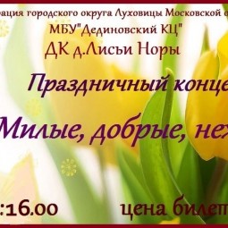 Дом культуры д. Лисьи норы