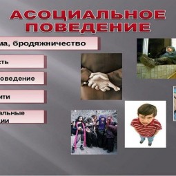 «Опасные заблуждения»