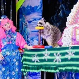 Цирковое представление «Новогодний переполох»