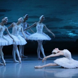 Балет «Лебединое озеро»