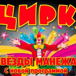 «Звёзды манежа»
