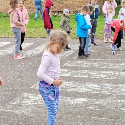 «Страна Светофория»