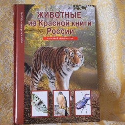 Викторина «Не только в гости ,ждёт тебя природа!»