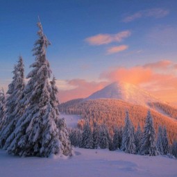 Выставка «Зимний вернисаж»