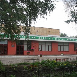 Сходненская детская школа искусств