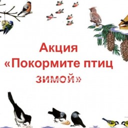 «Накорми птиц зимой»