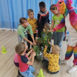 Познавательно-игровая программа «Весенняя капель»