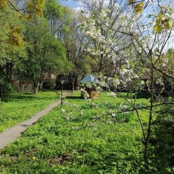 Путешествие по музыкальной Европе
