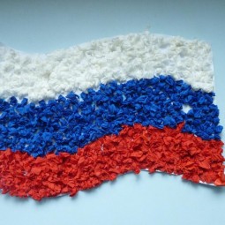 Открытый урок «Флаг России из цветов»