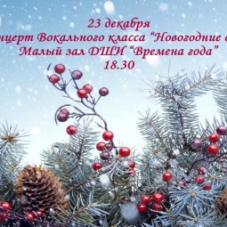 «Новогодние огни»