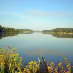 Река голосов