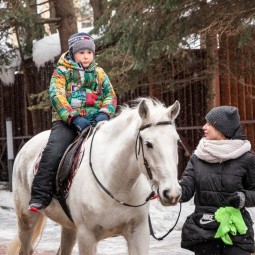 Прогулка на пони и лошадях