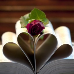 Библиолото «Любимые книги»