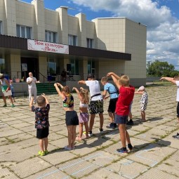 «Юмористический день комара»