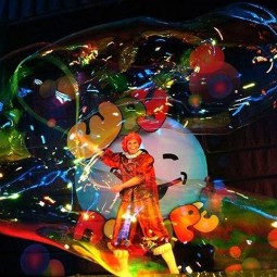 Представление «ШОУ Селезнёвых»