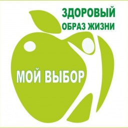 «Здоровый я - здоровая страна» - тематическая беседа