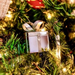 Развлекательная программа «Новый год в стране чудес»