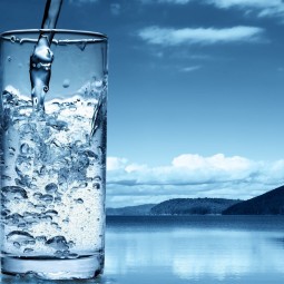 Всемирный день водных ресурсов