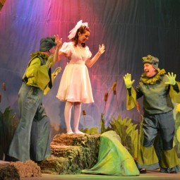 Спектакль «Дюймовочка»