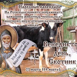 Народный календарь: Венедиктов день, Скотник