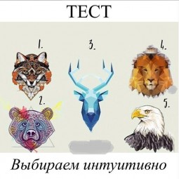 Психологический тест по картинке