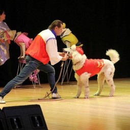 Цирк «Щенячий дозор»