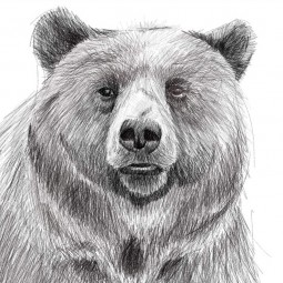 Спектакль «Медведь»