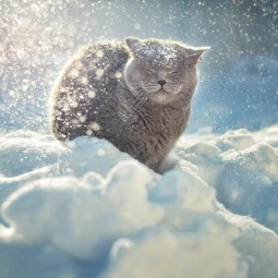 Конкурс #Вобъективезима