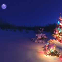 Новогодний калейдоскоп