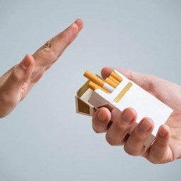 «Никотин и причины зависимости»