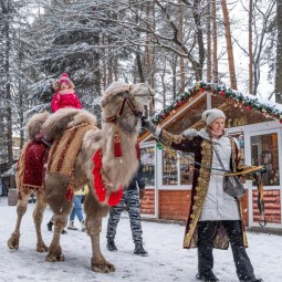 Прогулка на верблюде