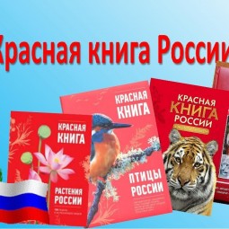 Час экологии «Красная книга», посвященный Дню Красной книги России)