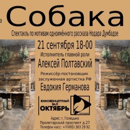 Спектакль «Собака»