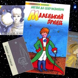 В гостях у Маленького принца