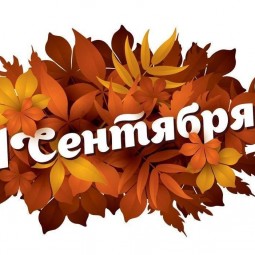 «Цифры,буквы изучать и пятерки получать»