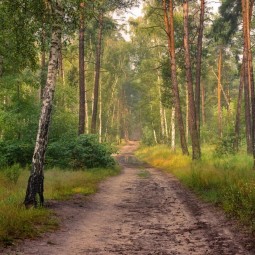 «С лукошком – в путь дорожку!»