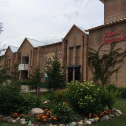 Показ мультфильма