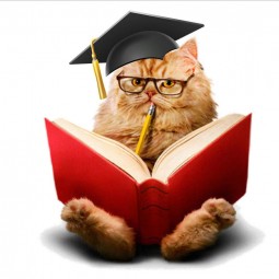 Литературная игра «Загадки ученого Кота»
